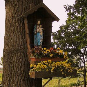 73. Mariakapelletje aan de Oldenzaalseweg in Tubbergen